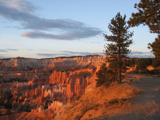 Bryce im Sommer 2006 (als Vergleich zum Winterbild)
Sunrise Point
