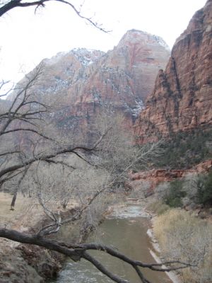 Feuer und Eis - Vegas 2008
Zion NP
