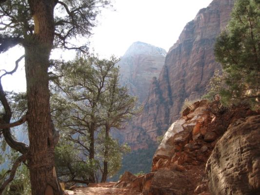 Feuer und Eis - Vegas 2008
Zion NP
