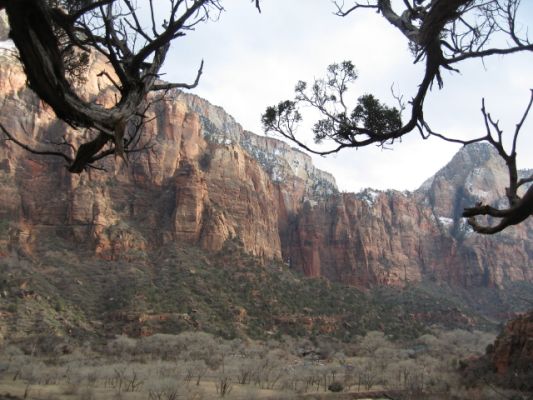 Feuer und Eis - Vegas 2008
Zion NP
