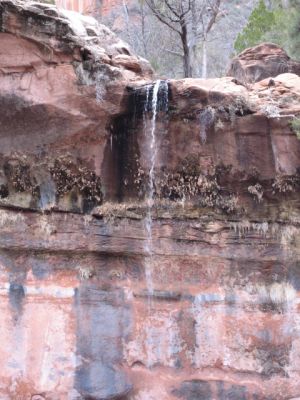 Feuer und Eis - Vegas 2008
Emerald Pools - Zion NP
