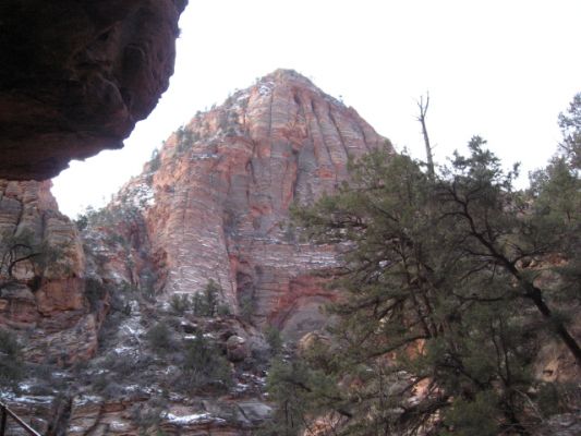 Feuer und Eis - Vegas Januar 2008
Zion NP
