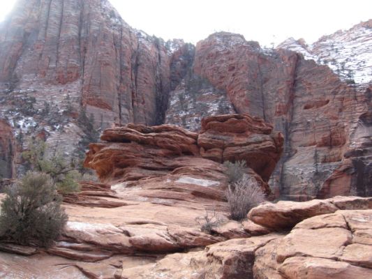 Feuer und Eis - Vegas Januar 2008
Zion NP
