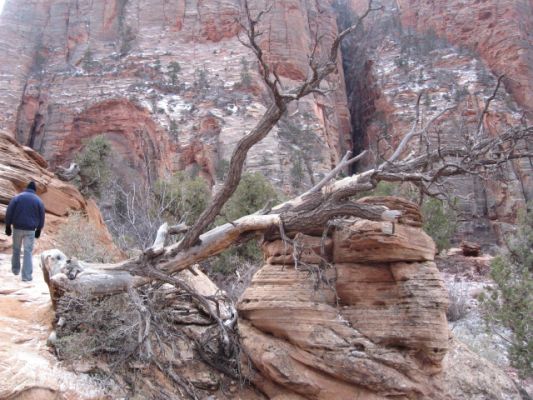 Feuer und Eis - Vegas 2008
Zion NP
