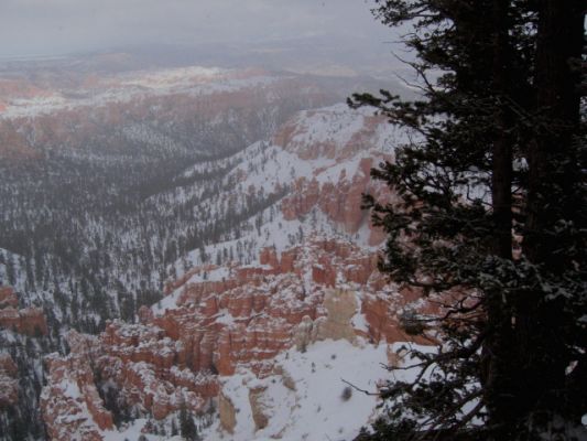Feuer und Eis - Vegas Januar 2008
Bryce Canyon
