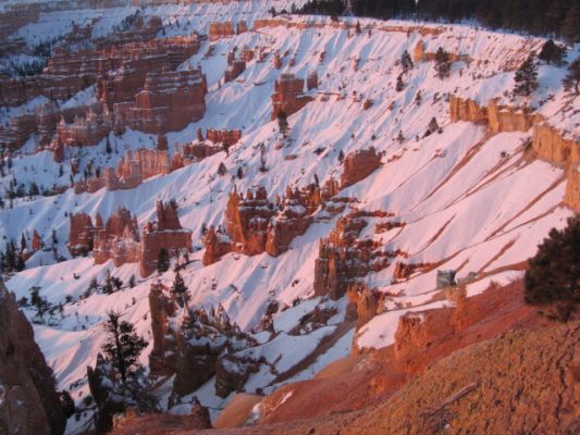 Feuer und Eis - Vegas und Nationalparks im Jan. 2008
Bryce C.
