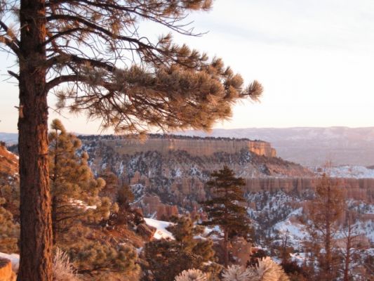 Feuer und Eis - Vegas u. ein bißchen Natur im Jan. 2008
Bryce Canyon
