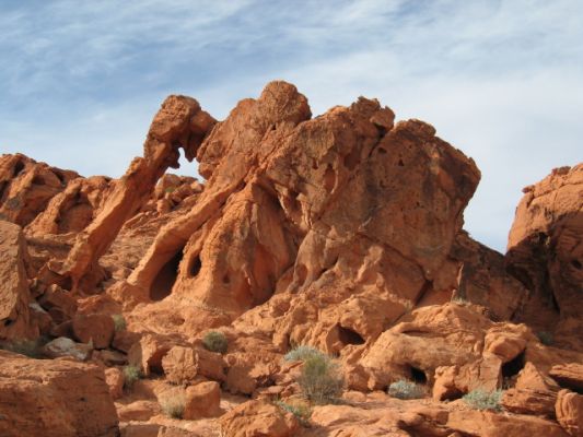 Feuer und Eis - Vegas und Nationalparks Jan. 2008
Valley of Fire - Elephant rock
