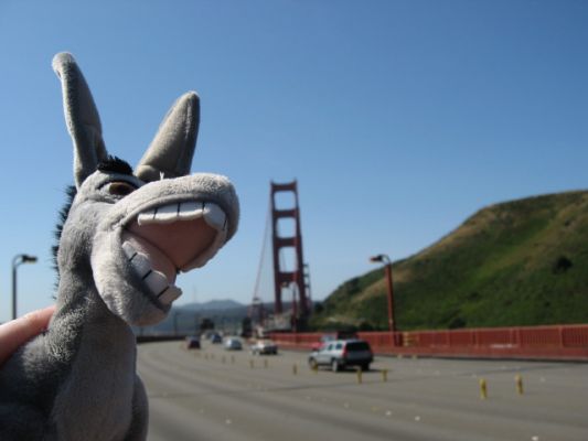 Donkey + golden Gate
