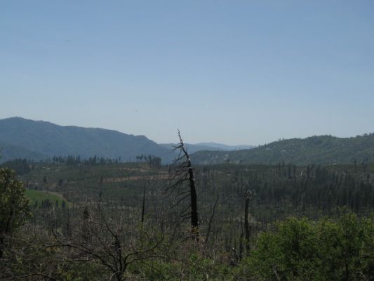 Fahrt zum Yosemite NP
