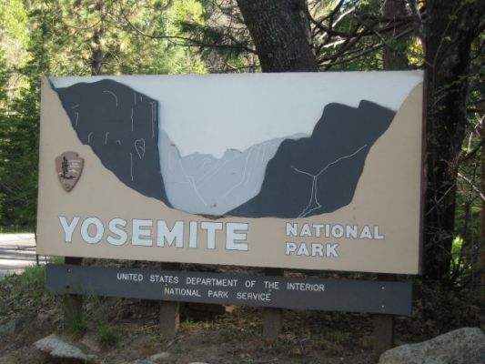 Yosemite NP
