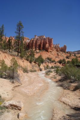 DSC01675_53.JPG