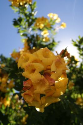 DSC02185_218.JPG
