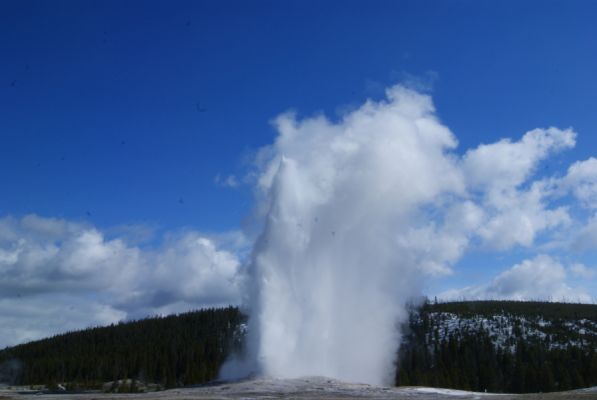 Old Faithful
