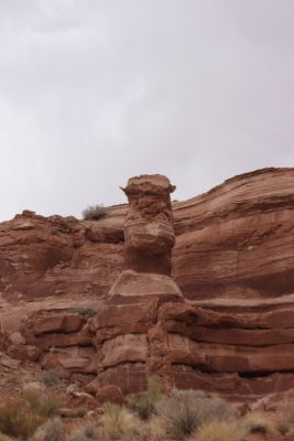 DSC06541_15_1.JPG