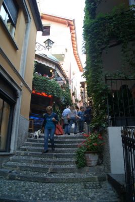 DSC08015_7_1.JPG