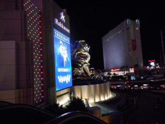 DSCN0103.JPG