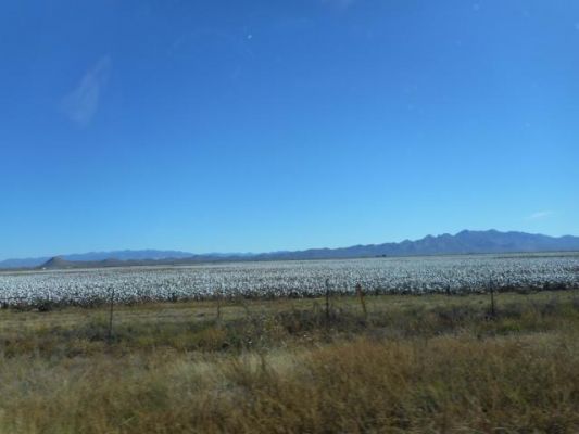 DSCN0250.JPG