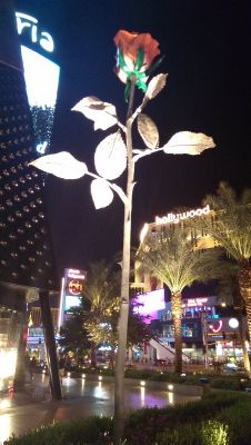 IMAG0131_9_1.jpg
