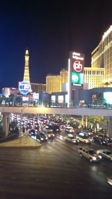 IMAG0140_ZOE009_11_1.jpg