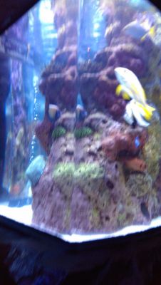 IMAG0184_ZOE001_2_1.jpg