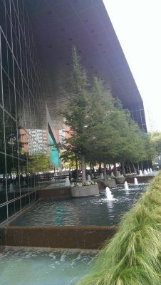 IMAG0804_13_1.jpg
