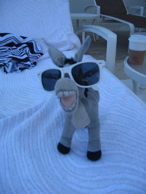 IMG_0039_23_1.JPG