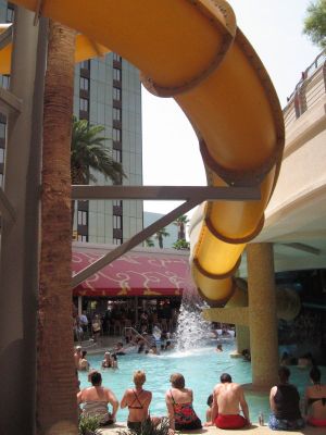 IMG_0253_1_1.JPG