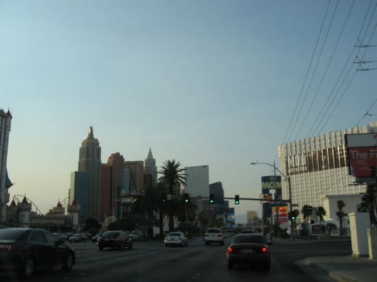 IMG_0350_10_1.JPG
