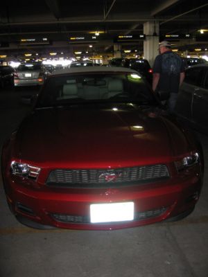IMG_0373_5_1.JPG