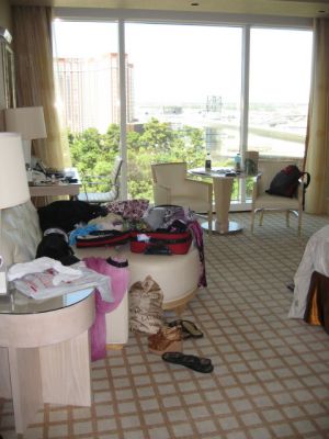 IMG_0719_2_1.JPG