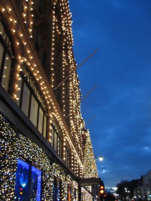 IMG_1013_50_1.JPG