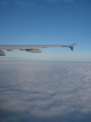 IMG_1180_2_1.JPG