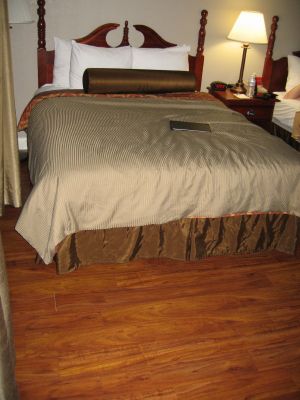 IMG_1426_36_1.JPG