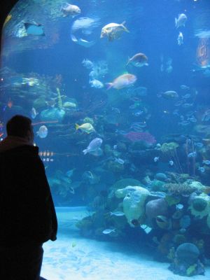 IMG_1678_1_1.JPG