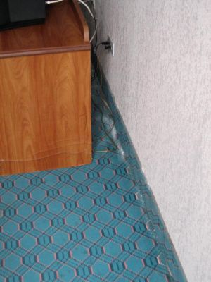 Schimmel lässt grüssen
