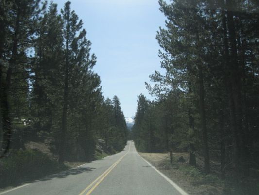 fahrt zum glacier point
