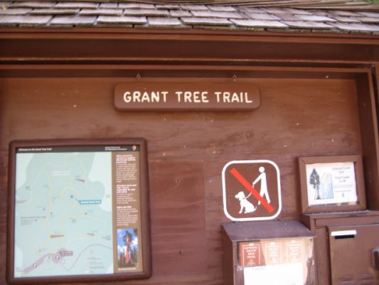 Grant Tree Trail
