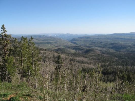 Zion Overlook
