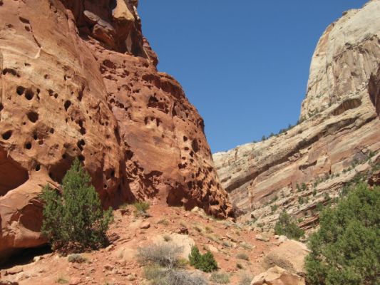 Capitol Reef NP
