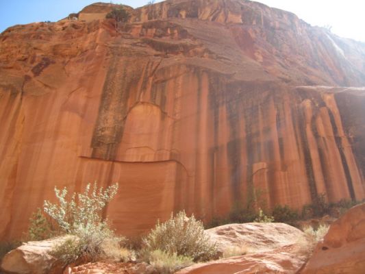 Capitol Reef NP
