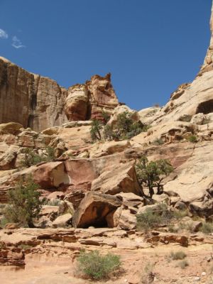 Capitol Reef NP
