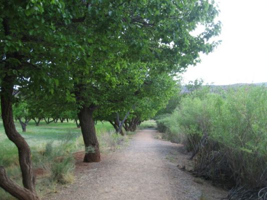 Fremont River Trail im Capitol Reef NP
