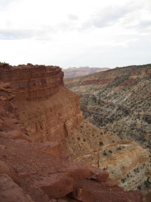 Goosenecks Point - Capitol Reef NP
