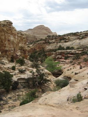 Trail zur Hickman Bridge im Capitol Reef NP
