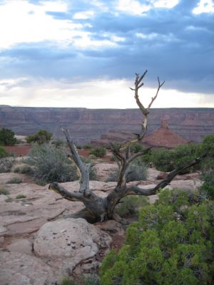 Dead Horse Point

