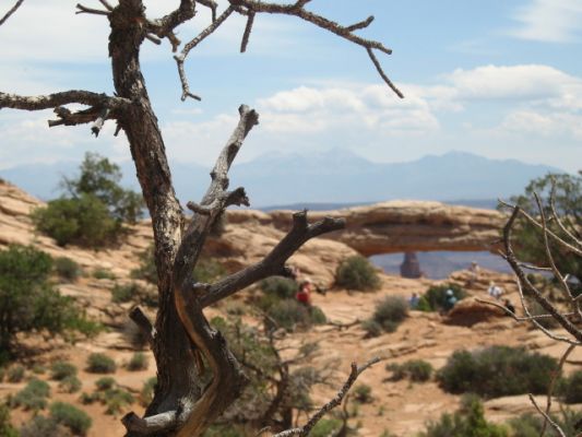 Mesa Arch
