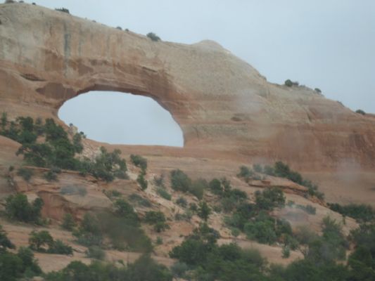 Wilson Arch
