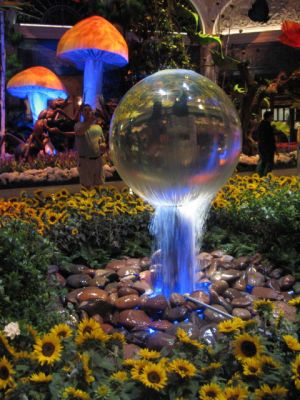 IMG_8788_43.JPG