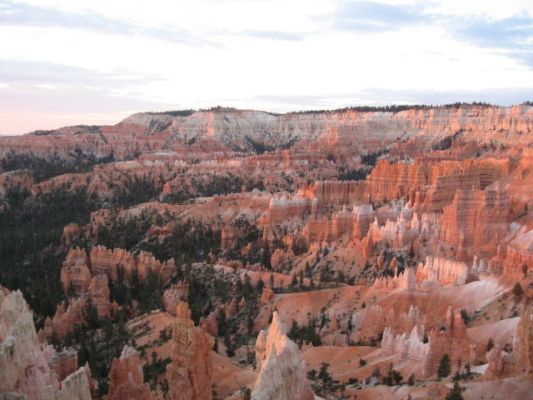 Sunrise am Bryce
